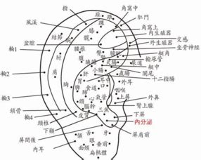 左耳垂有痣|耳朵有痣的命运好吗？左右耳有痣区别很大！你一定不知道